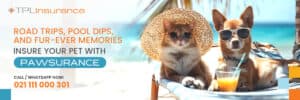 Sun, Sand, and Safety – All in One Leash!